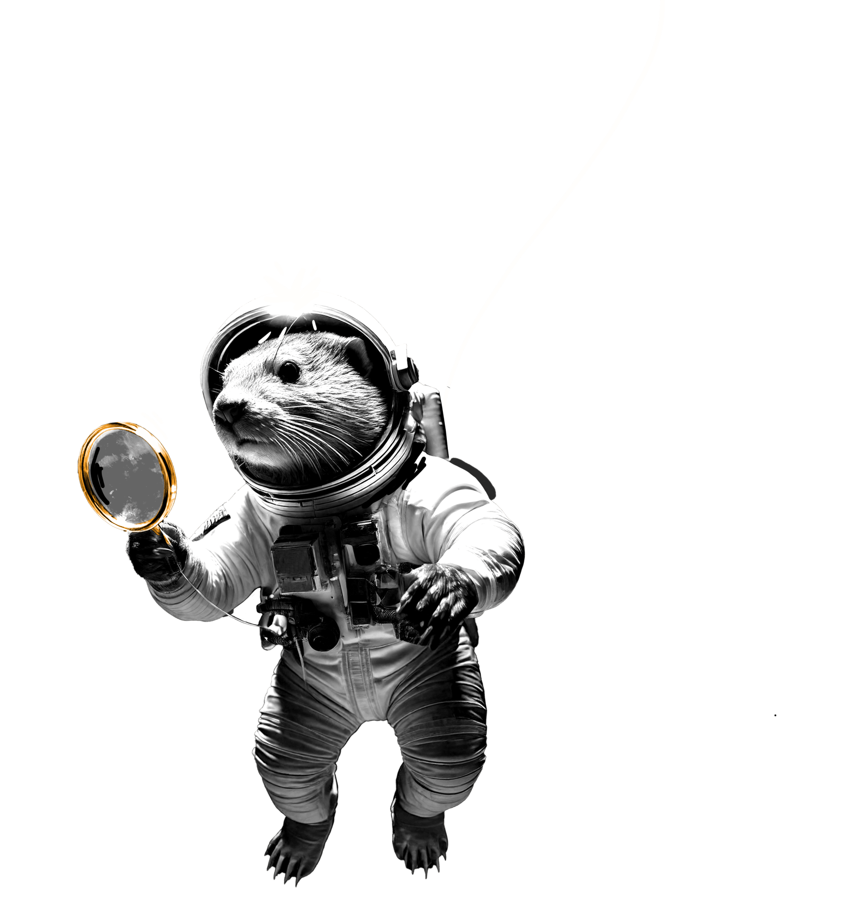 Space Otter Illustration